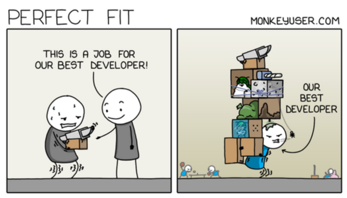 Developer