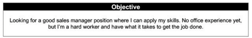 Resume Objective 01